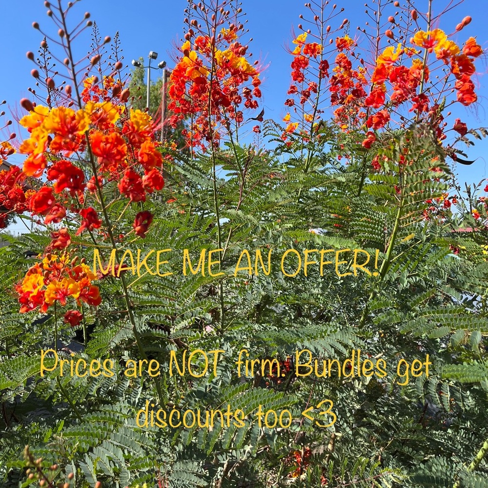 MAKE ME OFFERS! Bundle up & save! Feel free to comment on your bundle as well.